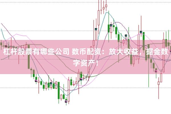 杠杆股票有哪些公司 数币配资：放大收益，掘金数字资产！
