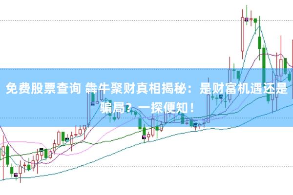 免费股票查询 犇牛聚财真相揭秘：是财富机遇还是骗局？一探便知！