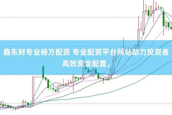 鑫东财专业杨方配资 专业配资平台网站助力投资者高效资金配置。