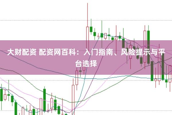 大财配资 配资网百科：入门指南、风险提示与平台选择
