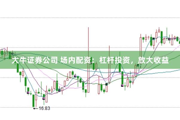 大牛证券公司 场内配资：杠杆投资，放大收益
