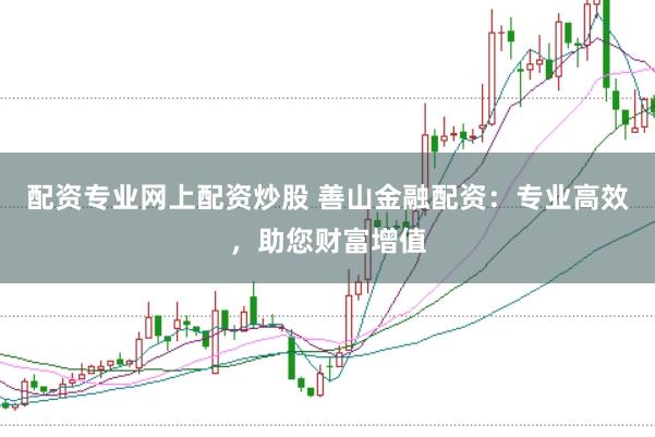 配资专业网上配资炒股 善山金融配资：专业高效，助您财富增值