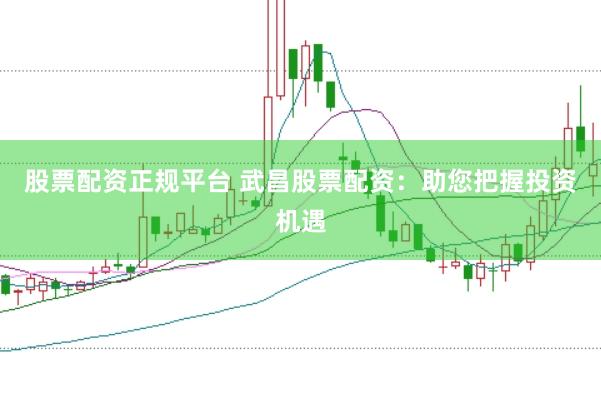 股票配资正规平台 武昌股票配资：助您把握投资机遇