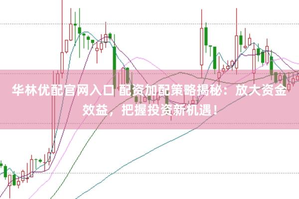 华林优配官网入口 配资加配策略揭秘：放大资金效益，把握投资新机遇！
