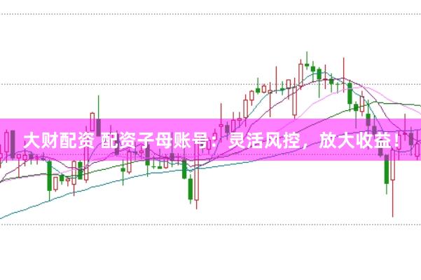 大财配资 配资子母账号：灵活风控，放大收益！