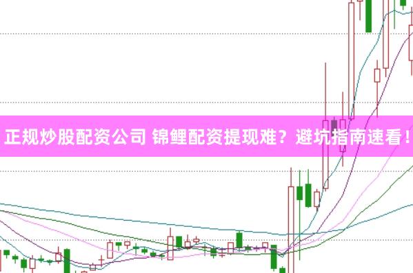 正规炒股配资公司 锦鲤配资提现难？避坑指南速看！