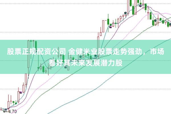 股票正规配资公司 金健米业股票走势强劲，市场看好其未来发展潜力股