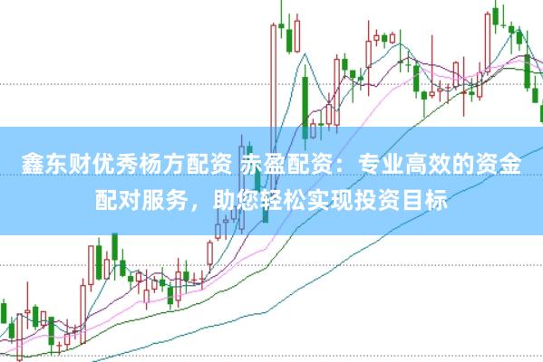 鑫东财优秀杨方配资 赤盈配资：专业高效的资金配对服务，助您轻松实现投资目标