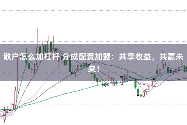 散户怎么加杠杆 分成配资加盟：共享收益，共赢未来！