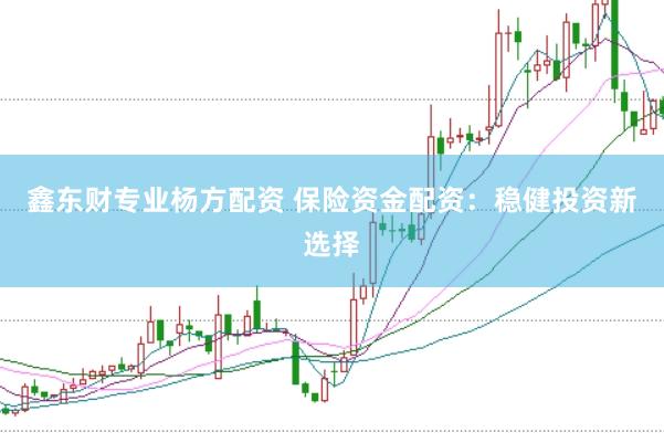 鑫东财专业杨方配资 保险资金配资：稳健投资新选择