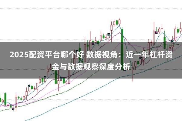 2025配资平台哪个好 数据视角:近一年杠杆资金与数据观察深度分析