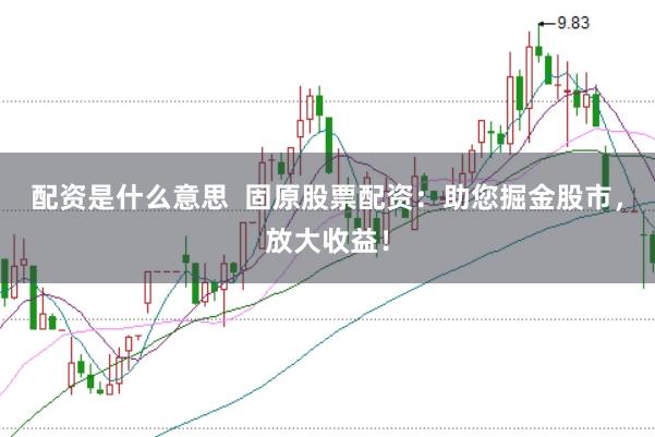 配资是什么意思 固原股票配资:助您掘金股市,放大收益!