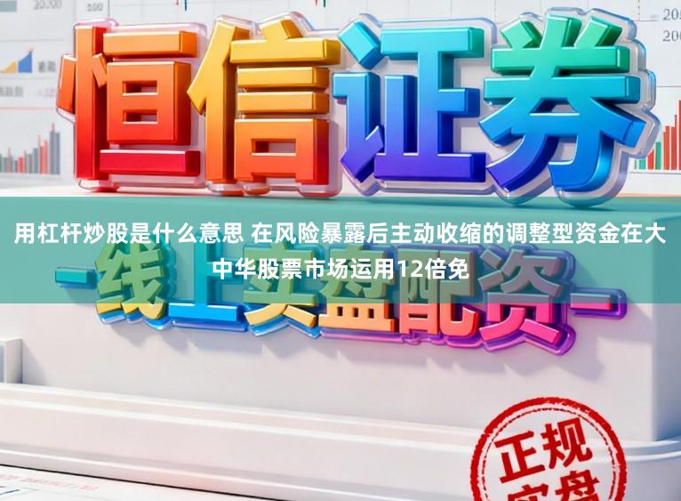 用杠杆炒股是什么意思 在风险暴露后主动收缩的调整型资金在大中华股票市场运用12倍免