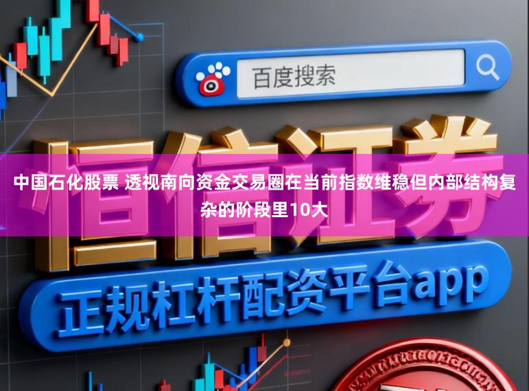 中国石化股票 透视南向资金交易圈在当前指数维稳但内部结构复杂的阶段里10大