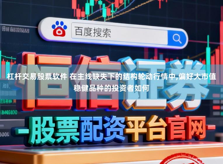 杠杆交易股票软件 在主线缺失下的结构轮动行情中，偏好大市值稳健品种的投资者如何